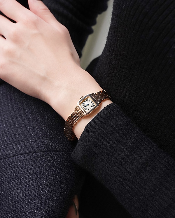 カルティエ ミニ サントス ドゥモワゼル Ref.W25077X9