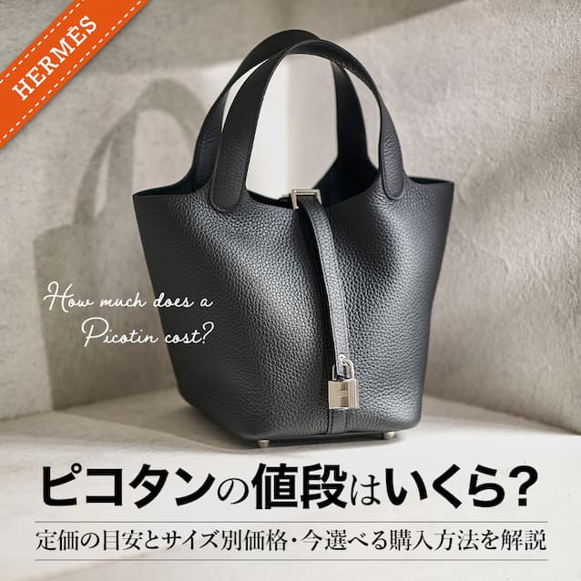 ピコタンの値段はいくら？定価の目安とサイズ別価格・今選べる購入方法を解説