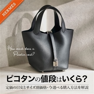 ピコタンの値段はいくら？定価の目安とサイズ別価格・今選べる購入方法を解説