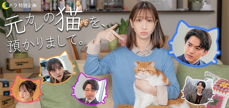 東海テレビ(フジテレビ系)ドラマ『元カレの猫を、預かりまして。』