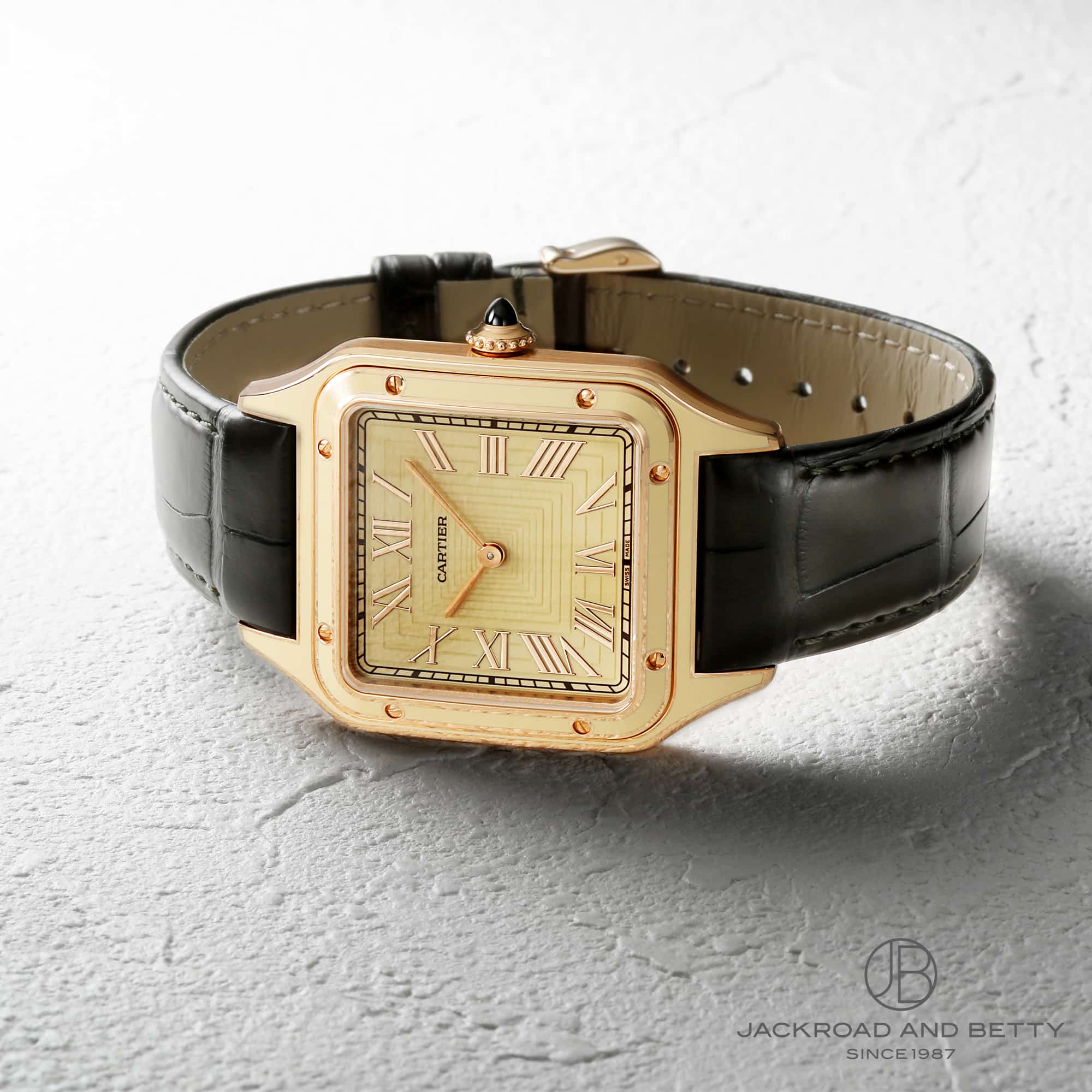 JeBG TgX f LM WGSA0054 C[Wʐ^