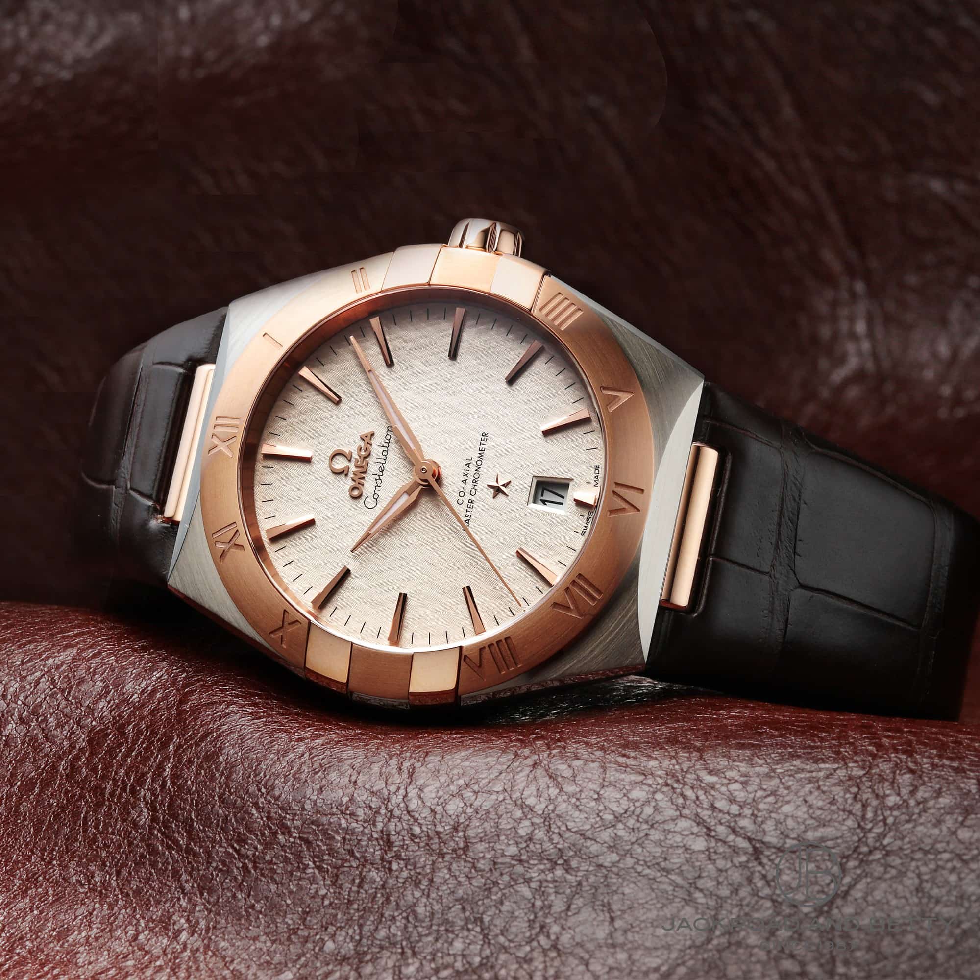 コンステレーション[131.23.39.20.02.001] Constellation | オメガ