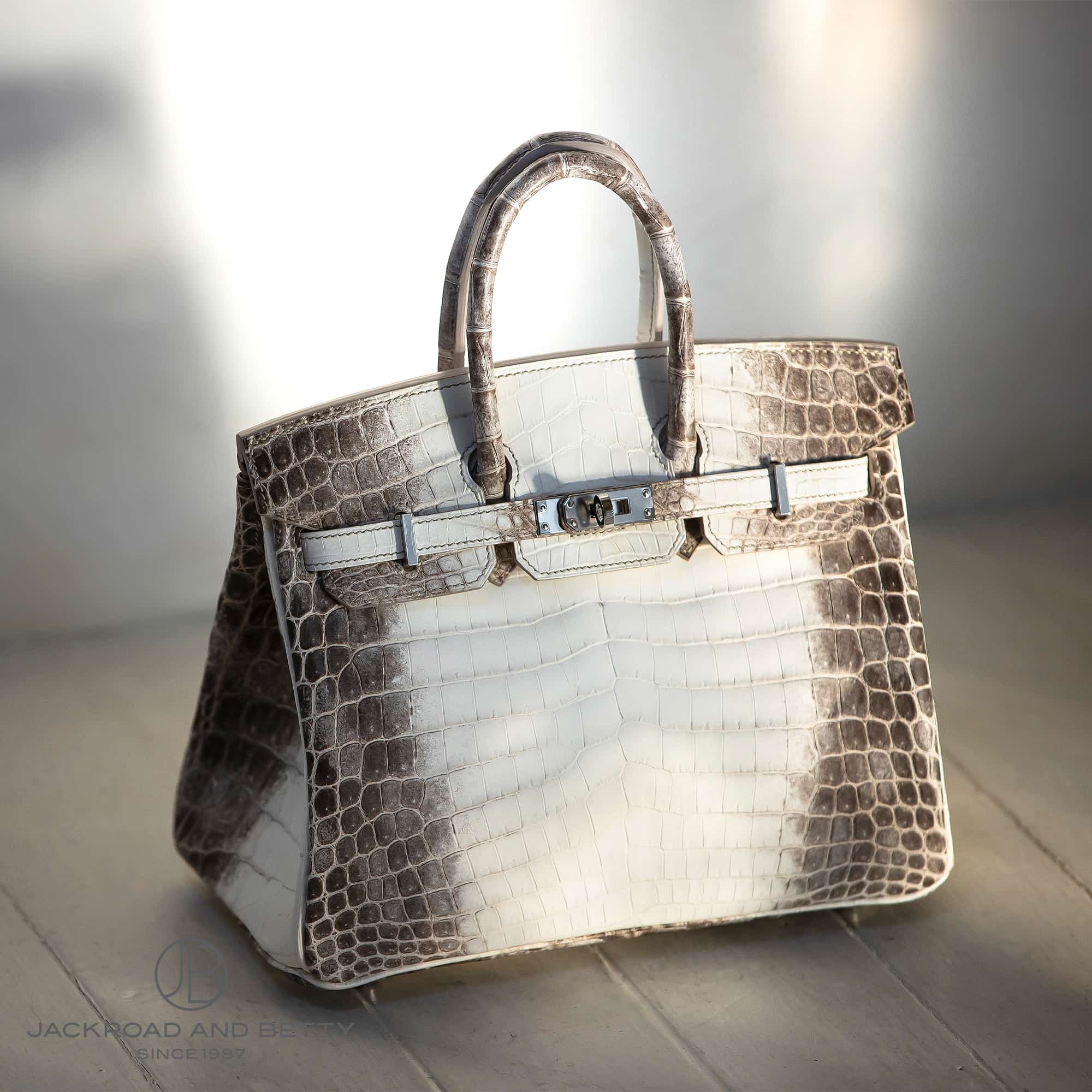 バーキン25 ヒマラヤ ニロティカス クロコダイル[] Birkin25 Himalaya Niloticus Crocodile エルメス 新品  バッグ/財布/小物