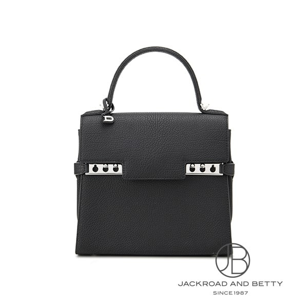 DELVAUX デルボー　タンペートPM 限定品　購入証明書あり DELVAUX デルボータンペートPM 限定品購入証明書あり