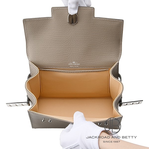 DELVAUX デルボー　タンペートPM 限定品　購入証明書あり DELVAUX デルボー タンペートPM 限定品 購入証明書あり